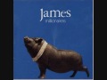 James Afro lover