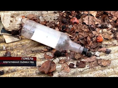 Пьянство в быту и на работе. На Гомельщине провели рейдовые мероприятия видео