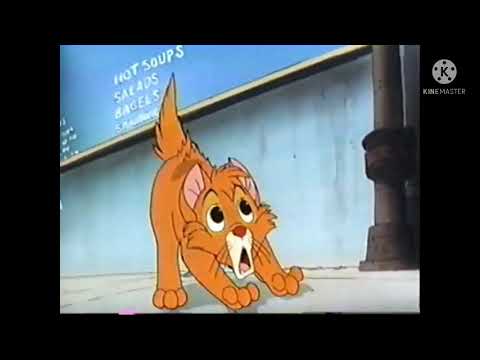 Finding Oliver Part 21 Algae