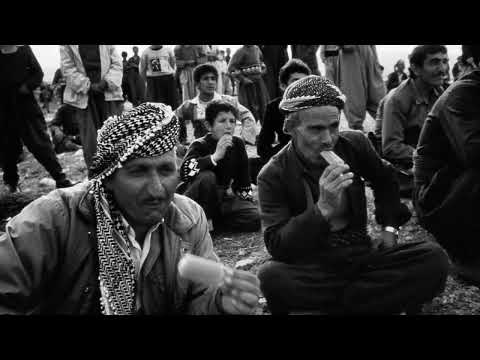 Hogir Fatih Resul  | Sar Kznakam