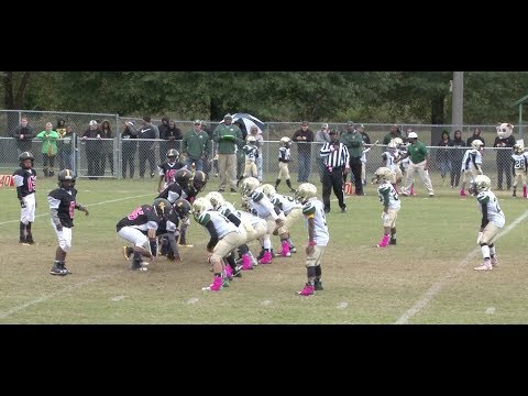 #2 Grayson AN (Locsin) vs. #7 Lawrenceville AS (Hayes) - 9U |10.27.18| 2nd Round Playoffs