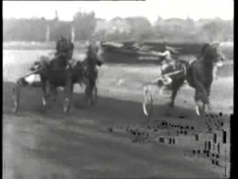 Grote Prijs der Lage Landen 1963 -Torrid Song