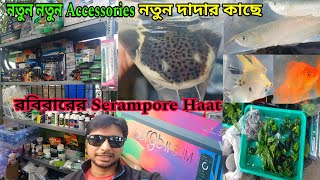 নতুন দাদা এলো শ্রীরামপুর হাটে |Aquarium Fish Shrirampur Haat |Aquarium Accessories | Aquarium Plants