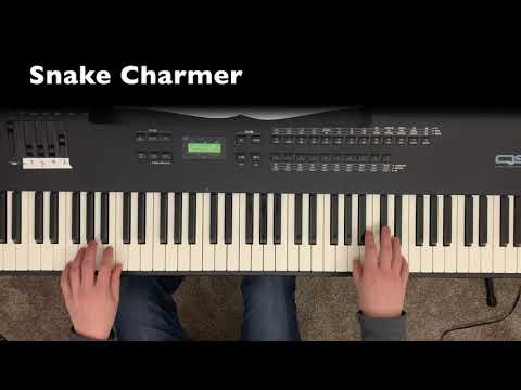 Snake Charmer - The Bean Bag Zoo, Vol. 2