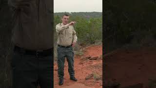 THE OCEAN THROUGHOUT GEOLOGIC TIME