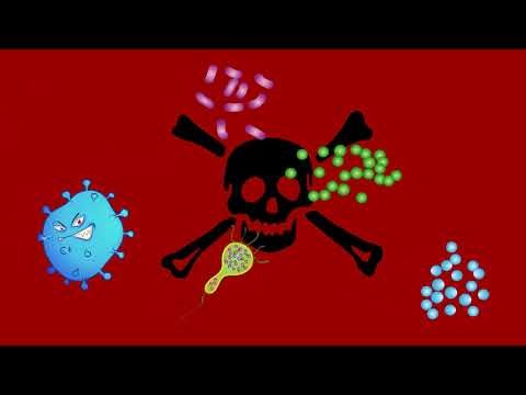 2D Global / Progress Medical General Education Virus Animation Patrick Abbott