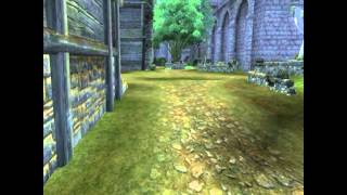 [Oblivion] Обзор модов - 5 - Коты, Пояса