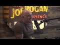 Joe Rogan Talks About Suda The Painting Elephant