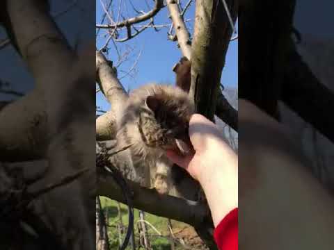 28 сентября 2020 г.