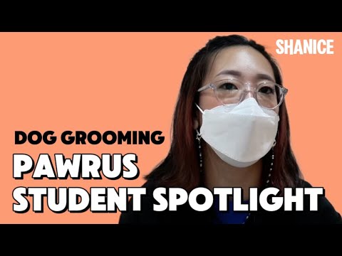 Pawrus Professional Dog Groomer Spotlight: Shanice
