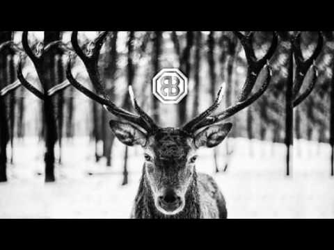 Bodhi Balboa - Auf dem Weg zum Champ