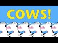 Sandra Boynton’s COWS (Moosic Video) The Seldom Herd