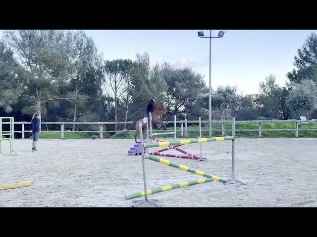 Top jument mod&egrave;le sport