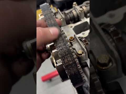 Take a look at this ford wet belt (ecoboost)