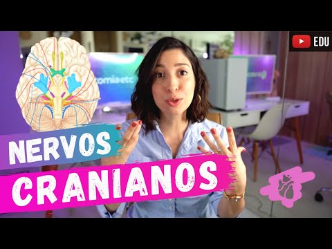 ANATOMIA do NERVOS CRANIANOS! | Anatomia etc