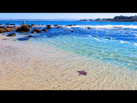 Beach Day: 3 Hours of Soothing Blue From California (4K Video)