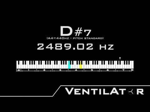 D#7 / 2489.02hz @A440hz Tone For Instrument Tuning