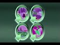 World Of Quest Theme Song In RjGunner111 Major