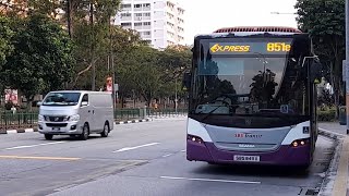 (Pollen Collection II Full Body Advertisement) SBS8411X(SEDEP) On Service 851e At Yishun Avenue 2