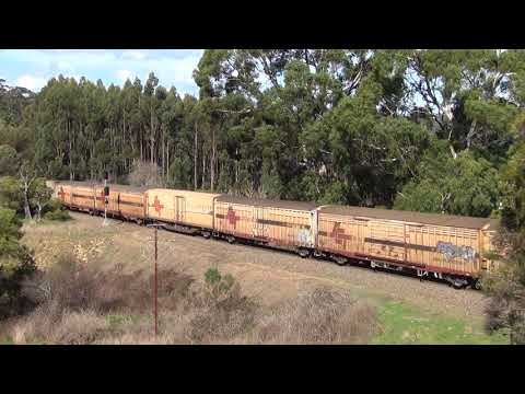 Six on 6MP9 4/8/2018