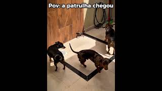 Ela procurando os avós dentro do celular 😂📱 #engraçado #humor #shorts