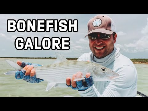 Bonefishing The Bahamas | Swain's Cay Lodge Fly Fishing