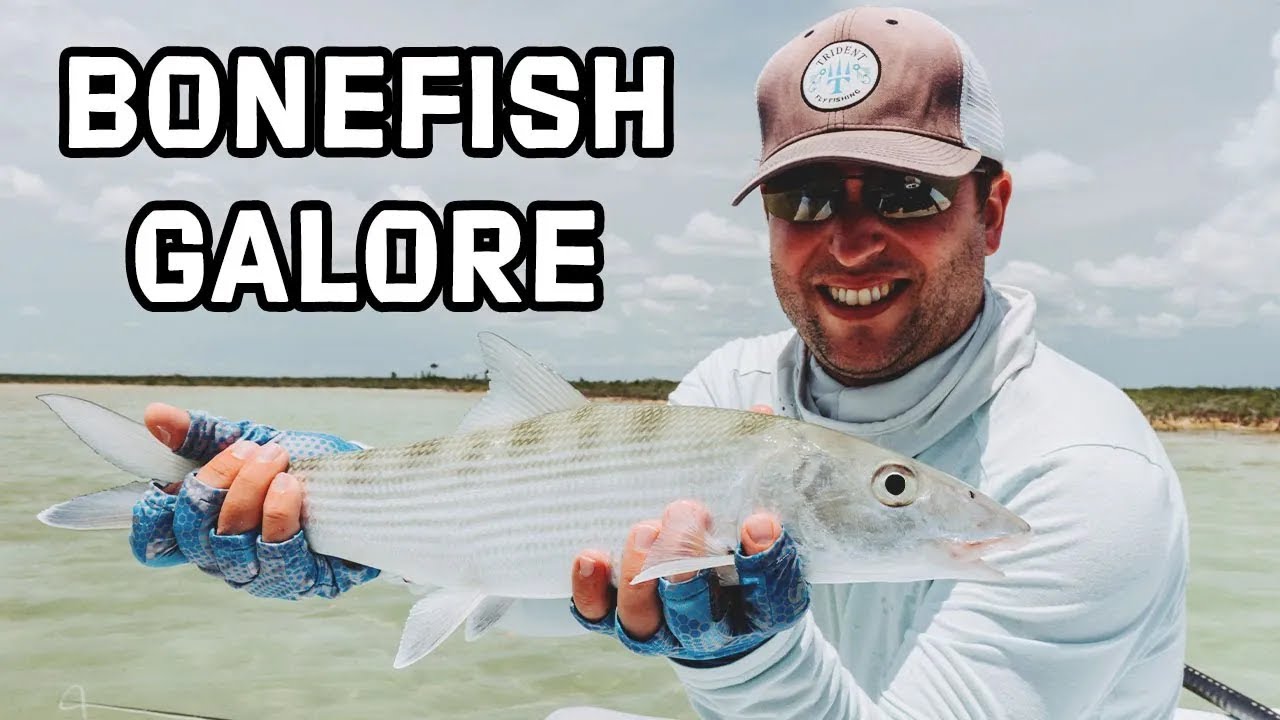 Swains Cay Lodge - Video