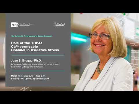 The 2018 Jeffrey M. Trent Lecture in Cancer Research - Joan S. Brugge