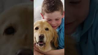 Como os cães demonstram amor! #amocachorro #amorporanimais