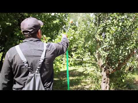 Pulvérisateur pour cellule motrice P55 - cuve 50 litres - Eco Spayer EUROSYSTEMS