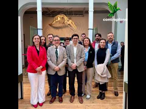 Hallazgos de Puchuncaví en nuevo montaje histórico de museo