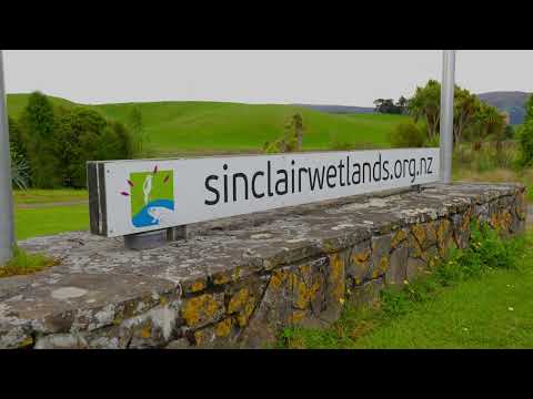 Lot 3 Waihola Hill Road, Waihola, Clutha, Otago, 0 bedrooms, 0浴, Lifestyle Section