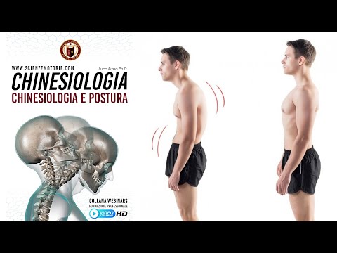 CHINESIOLOGIA E POSTURA - ESTRATTO