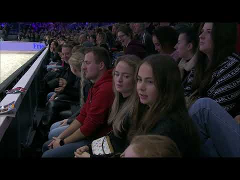 HK 2024   Rubriek 2   Keuring van de ingeschreven stamboekhengsten van 13 jaar en ouder