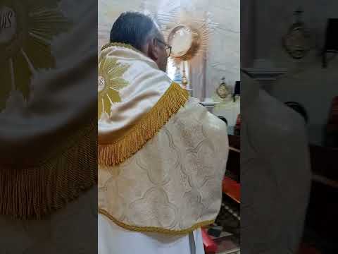 novena de nossa senhora do perpétuo socorro piracuruca Piauí