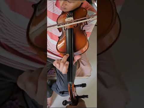 Wooden brown musical instrument viola