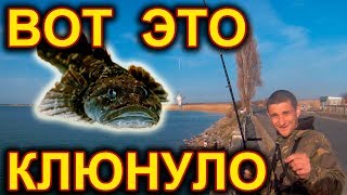 Рыбалка на бычка подкаменщика