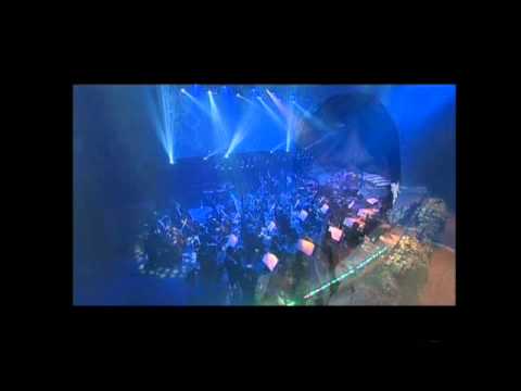 Ivo Gamulin Gianni - Ljubav to si ti (You Raise Me Up)