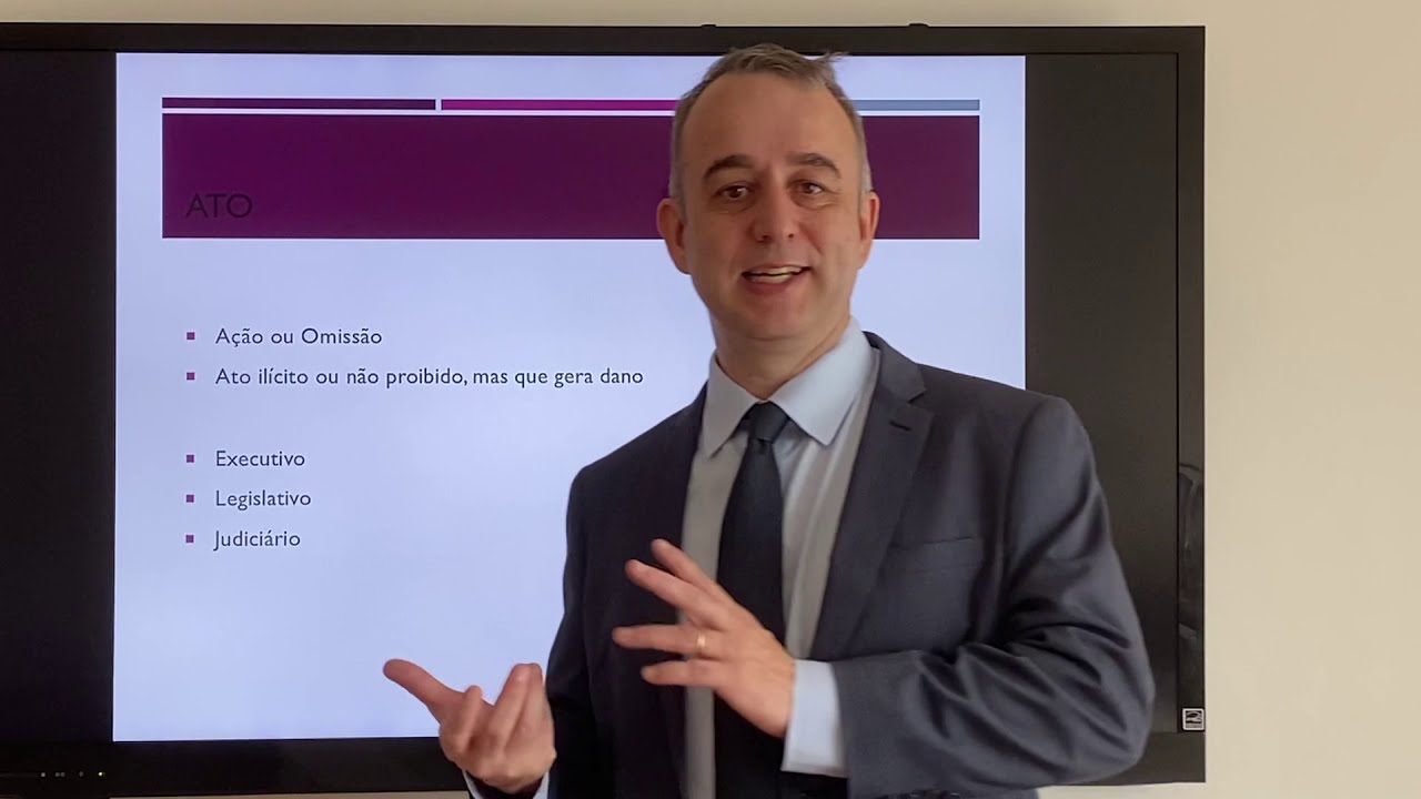 Responsabilidade internacional do Estado