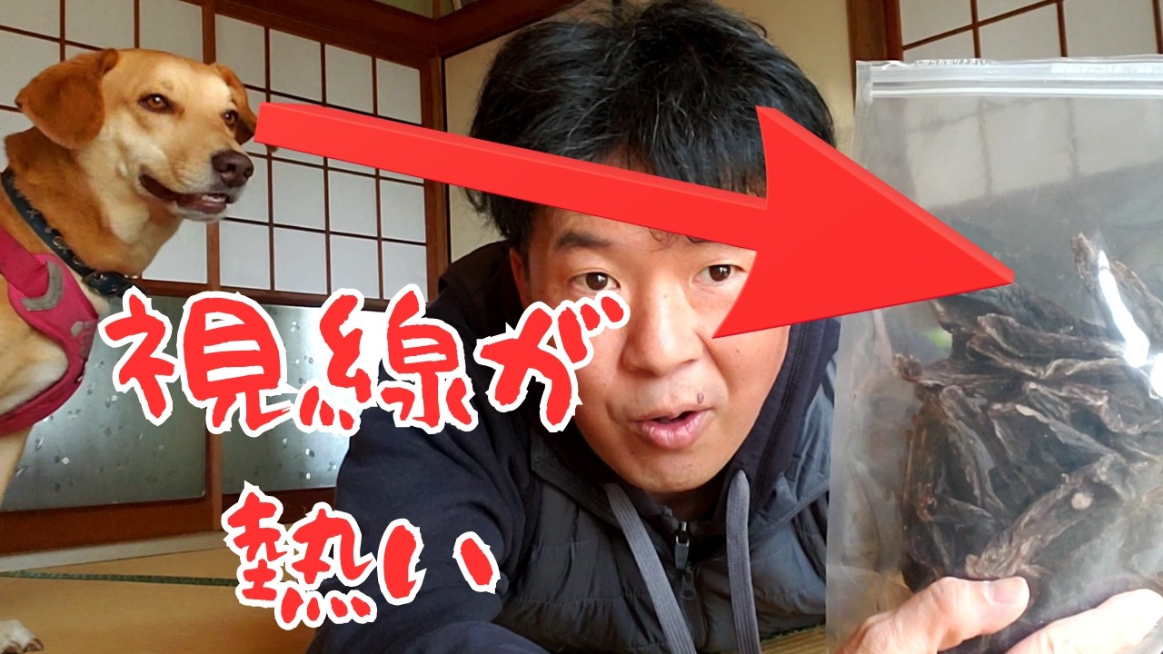 本気モードの時