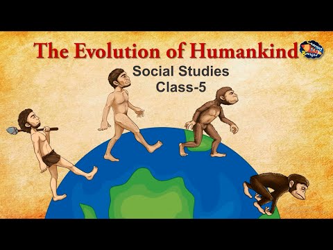 Human Evolution | Evolution of Humankind | Social Science class 3 