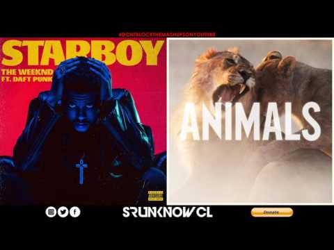 The Weeknd ft. Daft Punk vs. Maroon 5 - "Animalboy" (Mashup)
