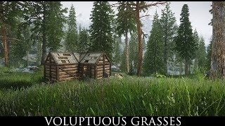 Skyrim SE Mods: Voluptuous Grasses