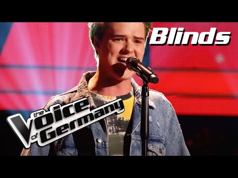 The Mamas and the Papas - California Dreamin (Vojtech Zakouril) |The Voice of Germany|Blind Audition