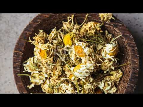 Die Kamille, ein vergessenes Heilkraut und Superfood