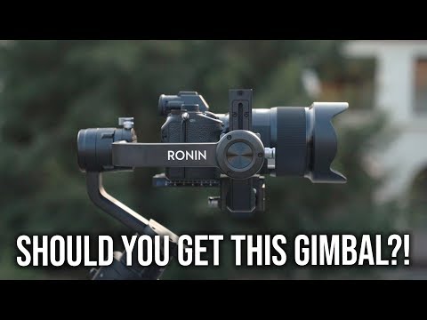 Should You Get the DJI Ronin S? Or WAIT for the ZHIYUN CRANE 3? 🤔 - Sony a7III a7RIII a6500 a6300