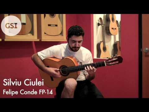 'Bulerias' played by Silviu Ciulei (Part 1 of 2)