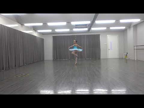 Princess Florine (Bluebird) Variation