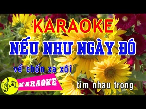Nếu Như Ngày Đó Karaoke || Beat Chuẩn
