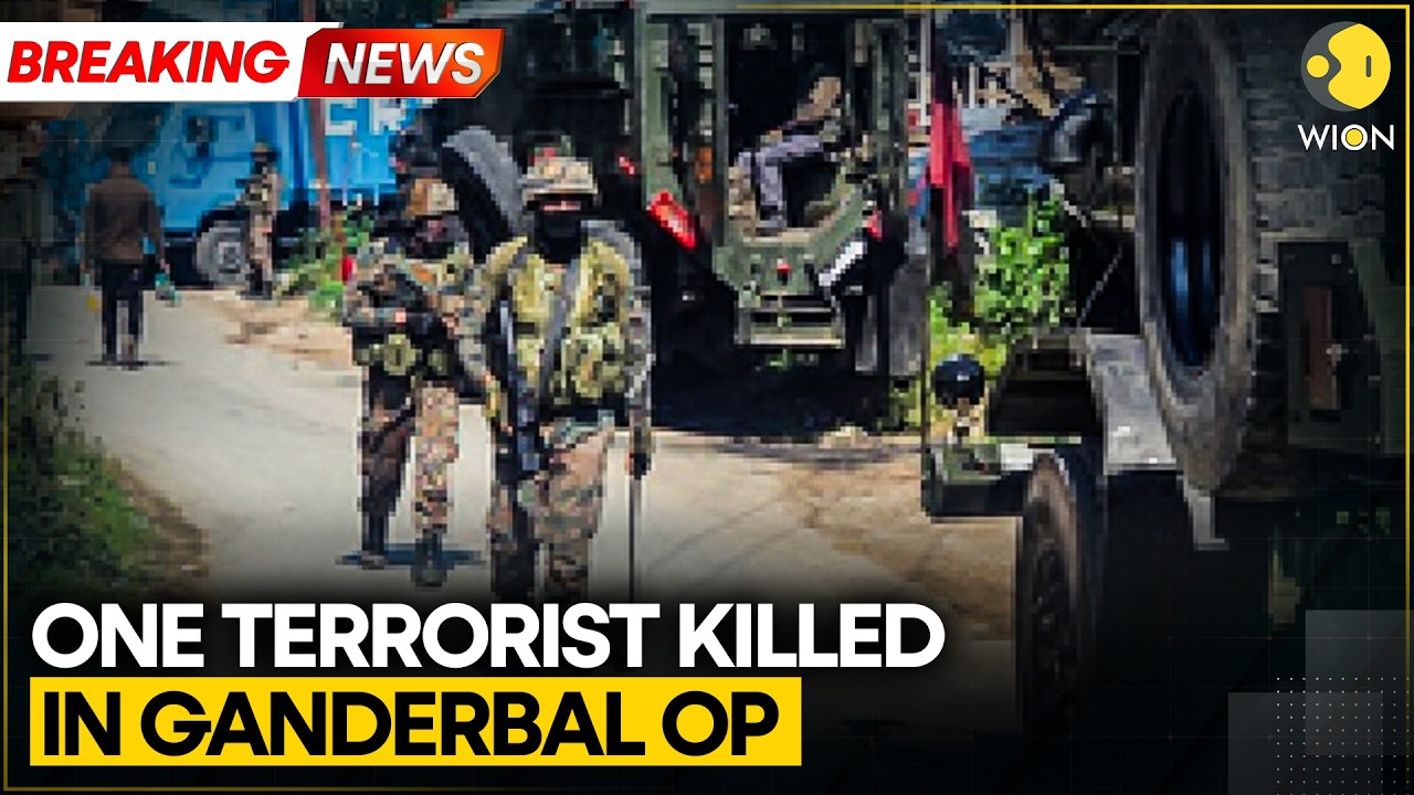 J&K: Indian Army, J&K Police Launch Massive Anti-Terror Operation | WION BREAKING